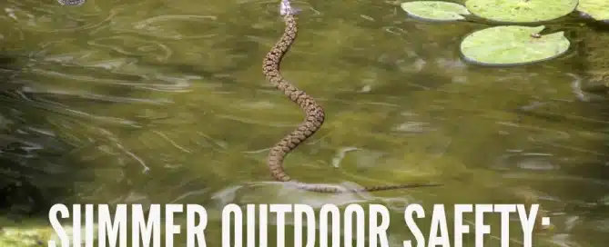 Summer Outdoor Safety Tips for Water and Snake Bite Prevention with snake swimming in water