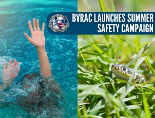 BVRAC Launches Summer Safety Campaign to Help Prevent Drowning and Snake Bite Injuries Across the Brazos Valley 