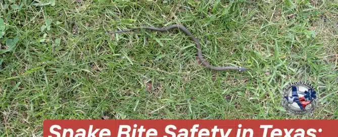 Snake Bite Safety in Texas with a snake in a grassy outdoor area